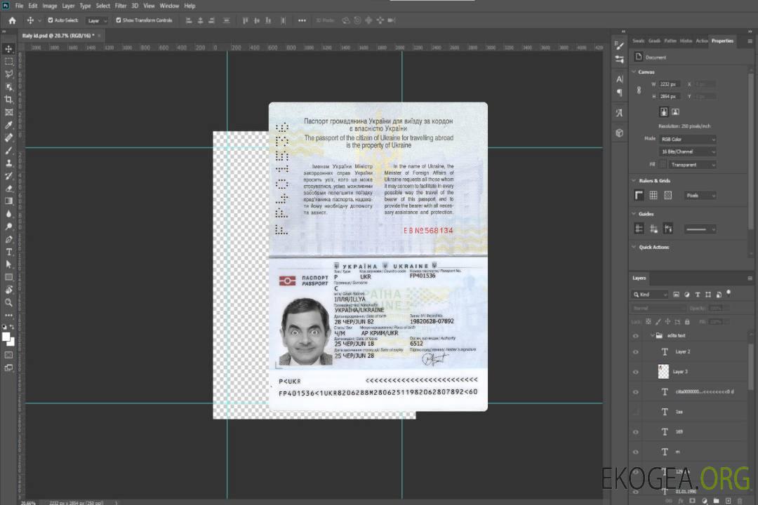 Passeport ukrainien 2018-présent template